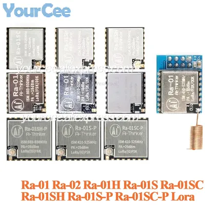 Ra-01 Ra-02 Ra-01SC Ra-01SH Ra-01S Ra-01H Ra-01SC Ra-01SCH-P Lora Spread Spectrum Wireless Transmit