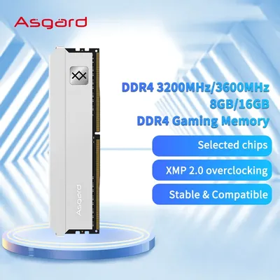 Asgard memoria ram ddr4 8gb 16gb 32gb 3200mhz Desktop memoria ddr4 Dual Channel DIMM desktop memory