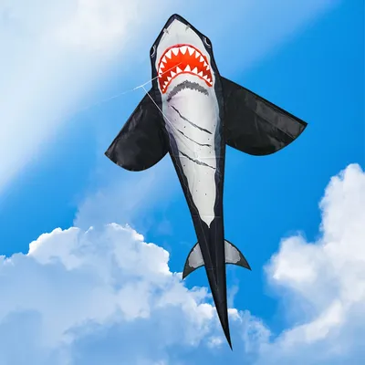 Big Shark Shaped Kite Easy To Fly Primary Stunt Kite with Wire Board Marine Animal Kite Enhance