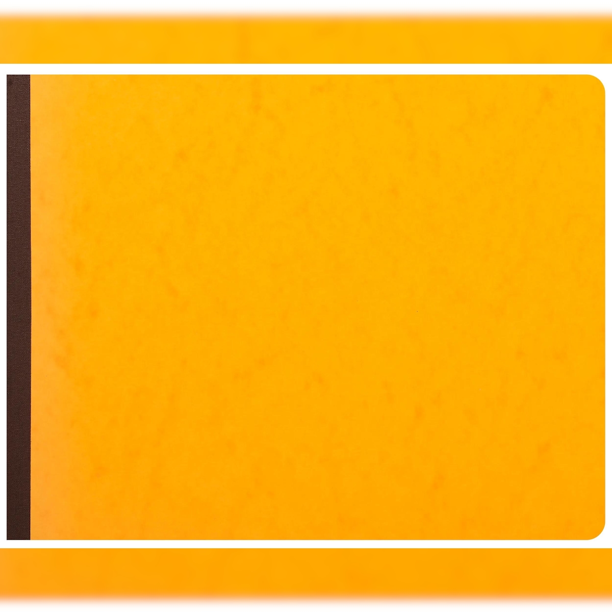 Exacompta 6130E Geschäftsbuch 13 Kolonnen 25x32 cm 80S - Farben sortiert Image