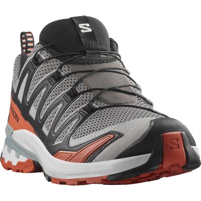 Trailrunningschuh SALOMON "XA PRO 3D V9", Gr. 43, castlerock, schwarz, burnt ochre, Synthetik, Textil, sportlich, Schuhe