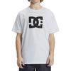 T-Shirt DC SHOES "DC Star", Herren, Gr. XL, weiß, 75% Baumwolle, 25% Baumwolle, Kurzarm, Shirts