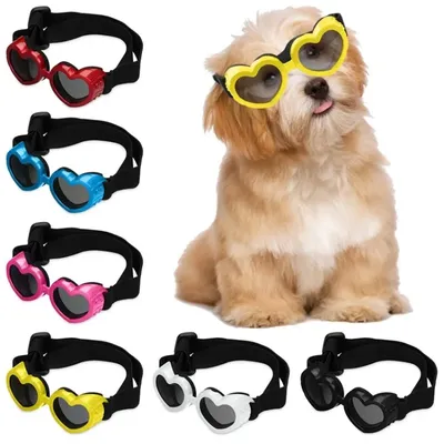 More+Pet+Supplies