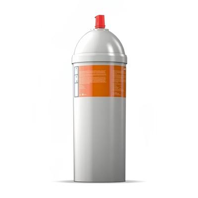 Doregrill PROFESSIONAL WATER FILTER XL Water Filter XL for D-ONE