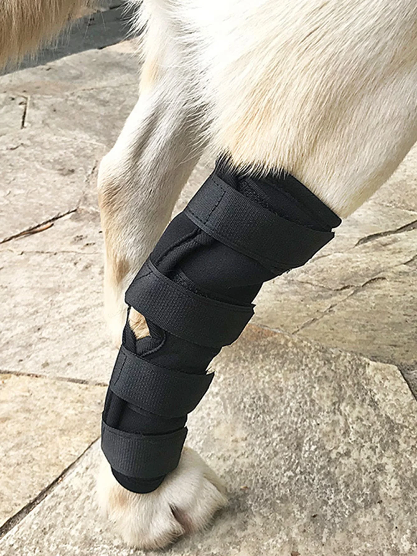 1pc-Hundebeinschutzhülle, Anti-Leck-Gelenk befestigung und Erholungs gurt für Bein verletzungen bei Haustieren, Fuß abdeckung für Beins tütze Image