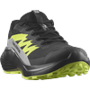 Trailrunningschuh SALOMON "ALPHAGLIDE GORE-TEX", Gr. 44, schwarz, alloy, sharp grün, Synthetik, Textil, sportlich, Schuhe, wasserdicht