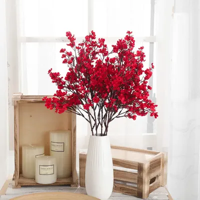 Flowers+Plants