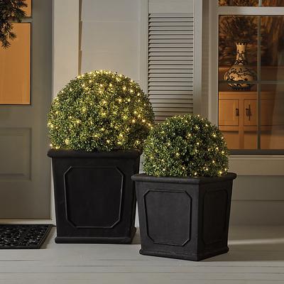 LED Plant Lights - Large (160 lights) - Ballard Designs