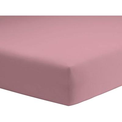 Spannbettlaken SCHLAFGUT "Mako-Jersey aus 100% Baumwolle, Bettlaken", beige (puder), B:140-160cm L:200cm, Mako-Jersey, Obermaterial: 100% Baumwolle, Laken, für Matratzen bis 20 cm Höhe, in 90x200, 140x200 oder 180x200 cm Image