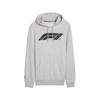 Hoodie PUMA "F1 ESS Motorsport Hoodie mit Logo Herren", Herren, Gr. M, grau (light gray heather), Obermaterial: 51% Baumwolle, 49% Polyester; Kapuzenfutter: 40% Polyester, 60% Baumwolle; Rippe: 38% Polyester, 58% Baumwolle, 4% Elasthan, normal,...