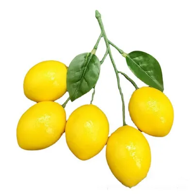 Artificial Lemon Skewers 5 Head Lifelike Simulation Lemon Fruit Kitchen Restaurant Display Food