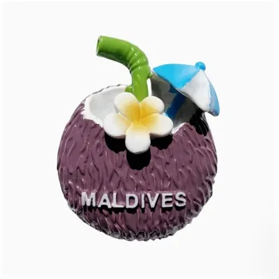 Maldives Coconut Juice Handmade Painted 3D Fridge Magnets Tourism Souvenirs Refrigerator Magnetic