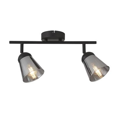2 Light Spotlight Ceiling Light