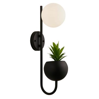 Pluto Orb and Plant Wall Light