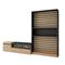 SKRAUT HOME Wohnzimmer-TV-Schrank, Wohnwand-System, 260x35x186cm, Für TV-Geräte bis 65“, Elektrischer Kamin, Moderner Stil, Eiche und Schwarz - 88_18