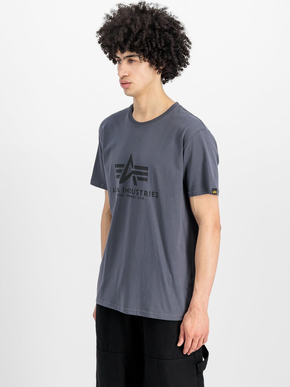 Alpha Industries T-Shirt Herren grau, XXL Image