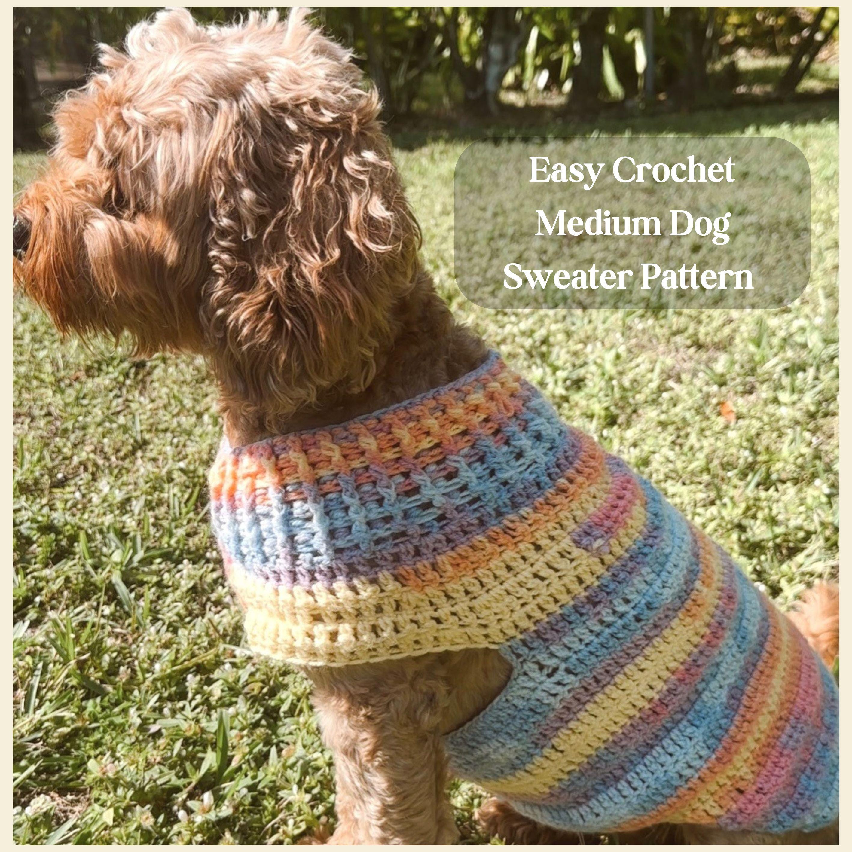 Modello maglione all'uncinetto per cani taglia media, SOLO PDF, Modello maglione all'uncinetto per cani, Modello maglione per cani