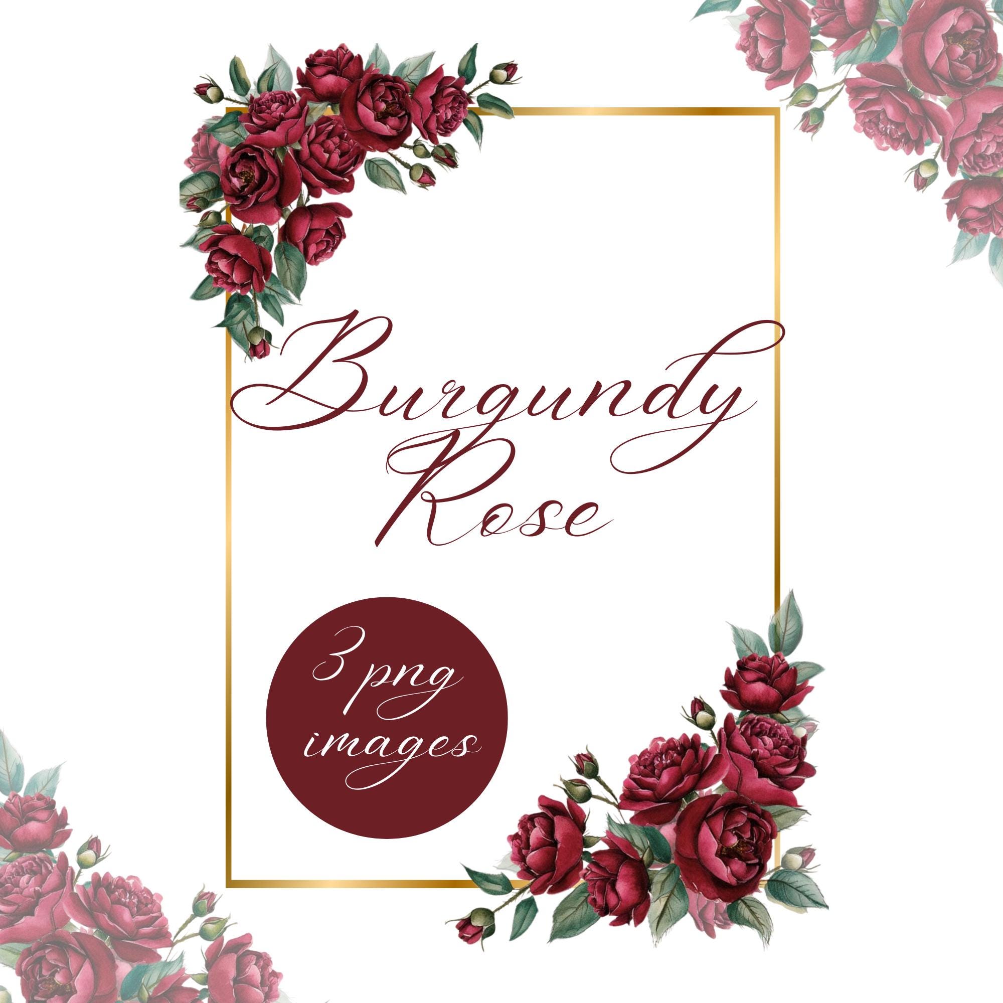 Clipart con rose bordeaux e cornice dorata, elegante clipart con fiori per matrimonio, bordo floreale ad acquerello in formato PNG, invito fai da te,