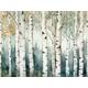 Betulle, pittura ad acquerello, foresta, stampa artistica, decorazione da parete autunnale, poster neutro bianco e blu, opera d'arte del bosco