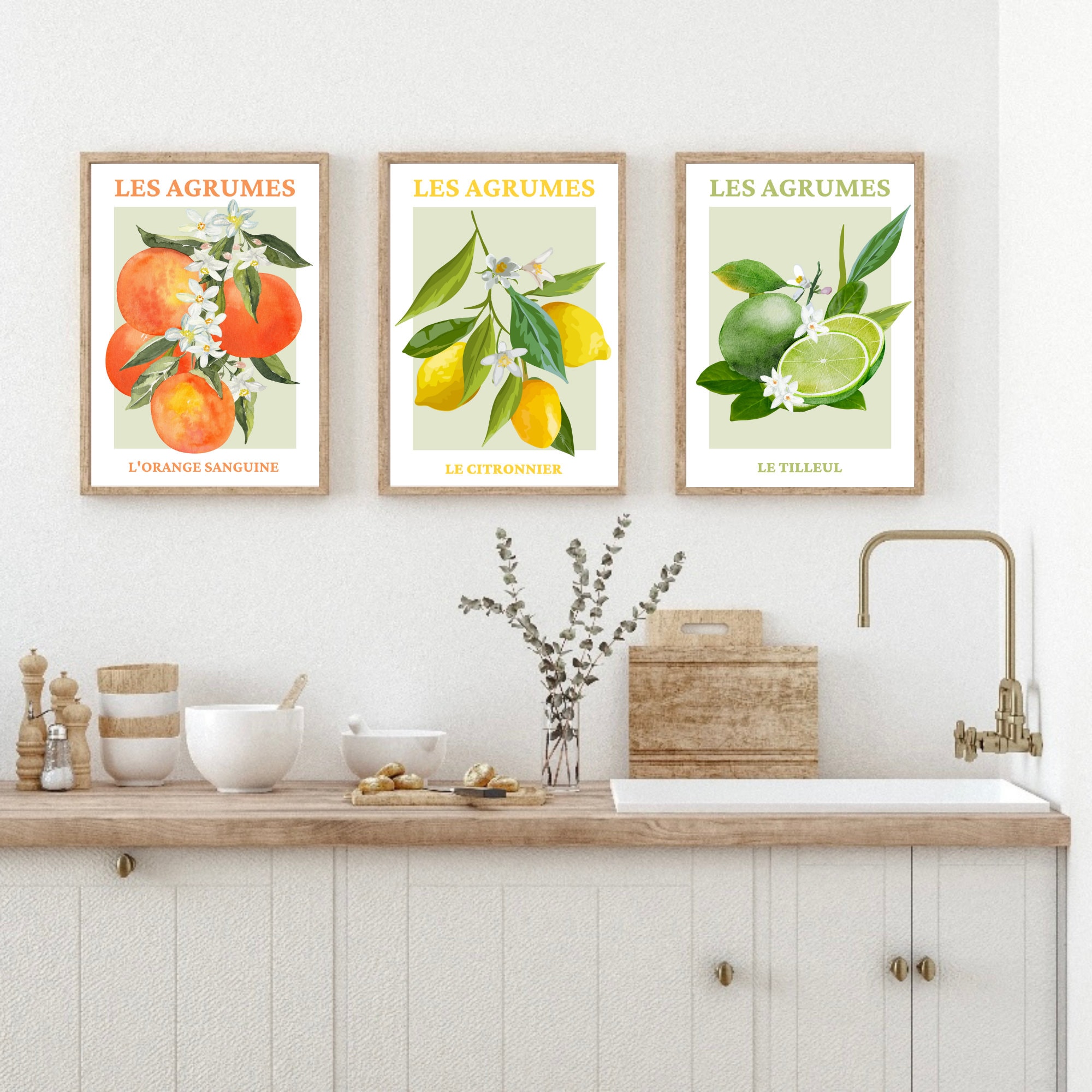 Stampa di agrumi, set di 3 stampe d'arte di frutta francese, arte della parete di frutta, stampa da cucina, decorazioni per la casa, stampe murali, po
