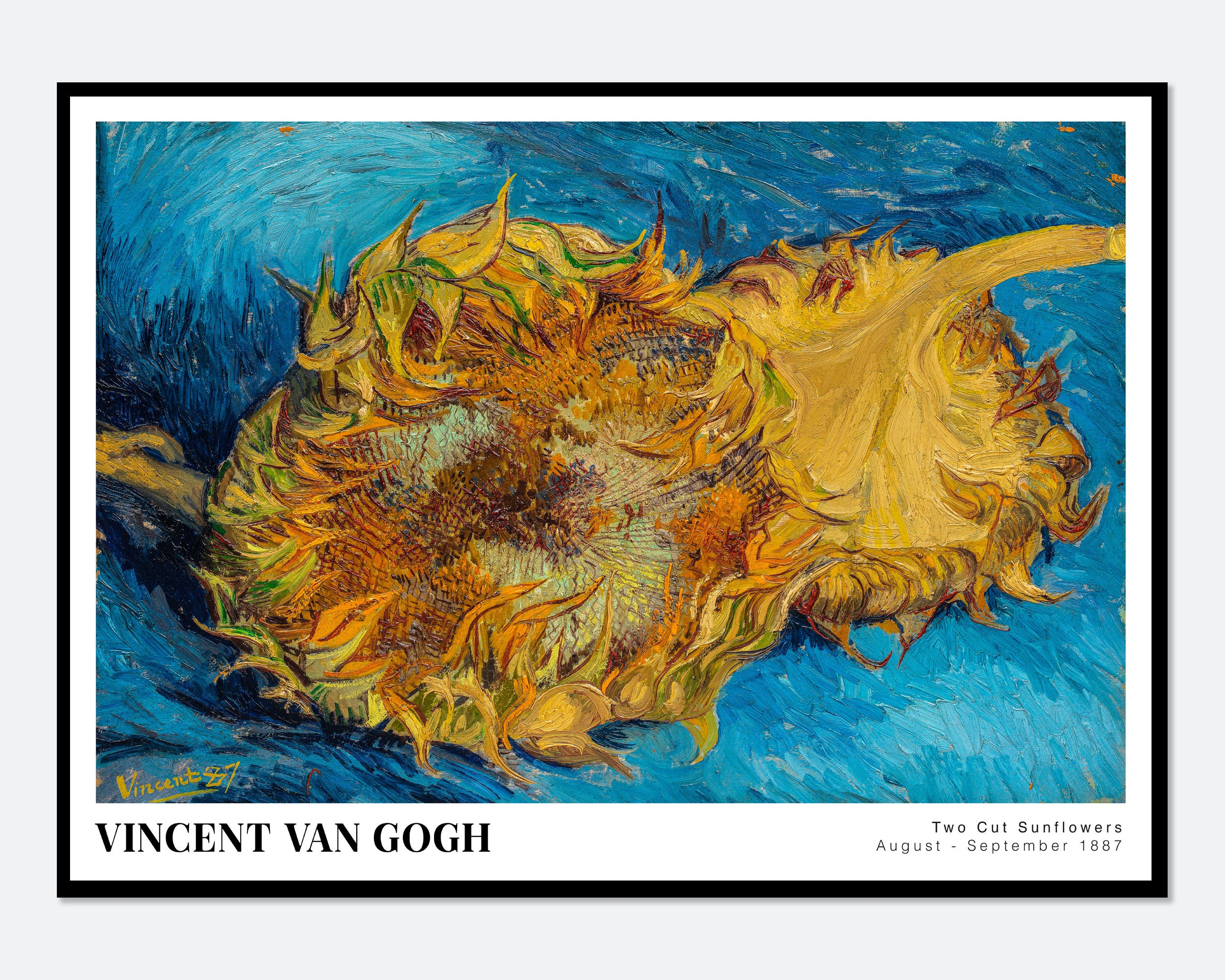 Due girasoli recisi di Van Gogh, 1887, stampa d'arte d'epoca, mostra d'arte / Stampa di Van Gogh, poster di Van Gogh, dipinto di Van Gogh, fiori color