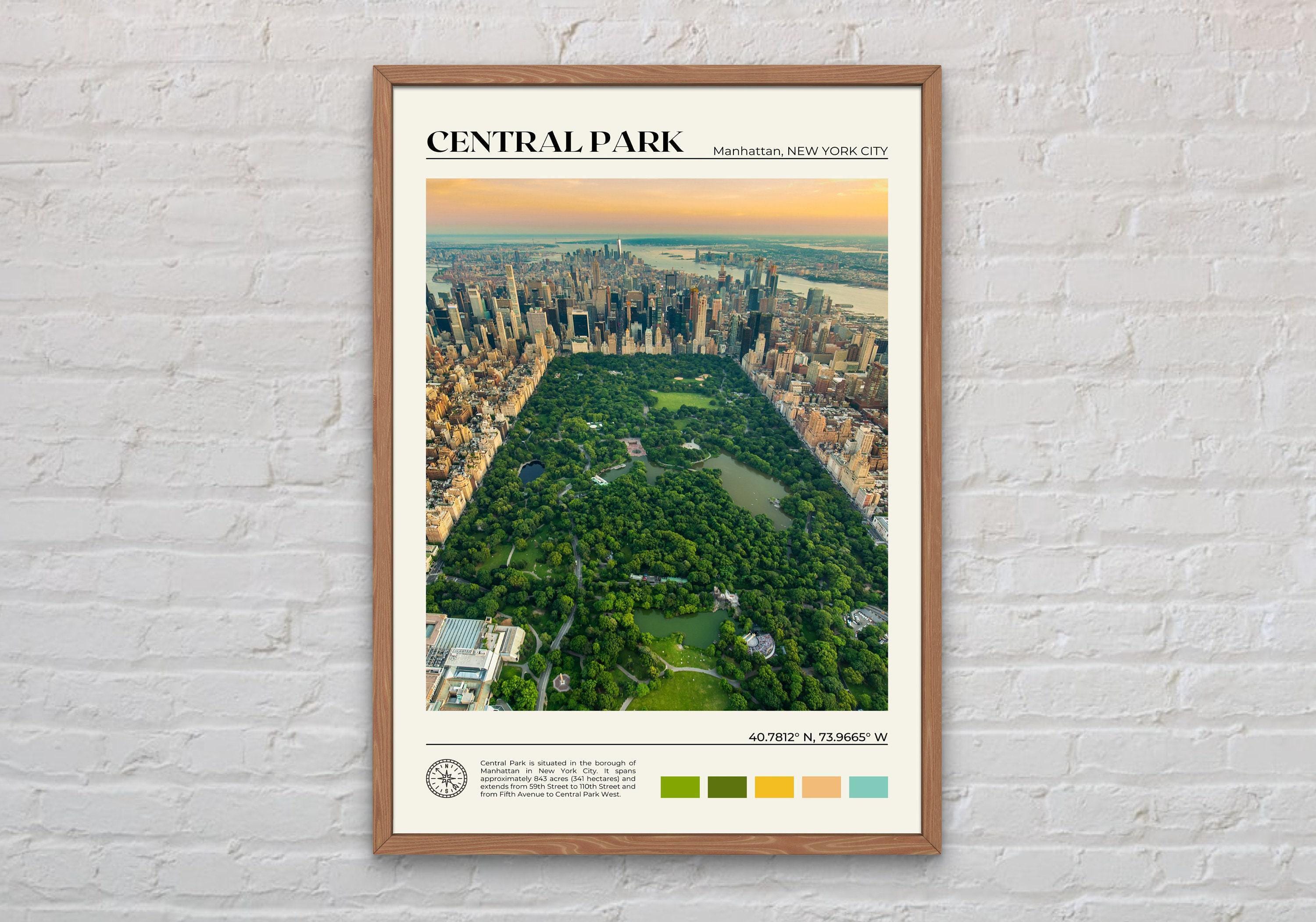 Foto reale, stampa di Central Park, arte murale di Central Park, poster di Central Park, foto di Central Park, stampa di poster di New York City, New