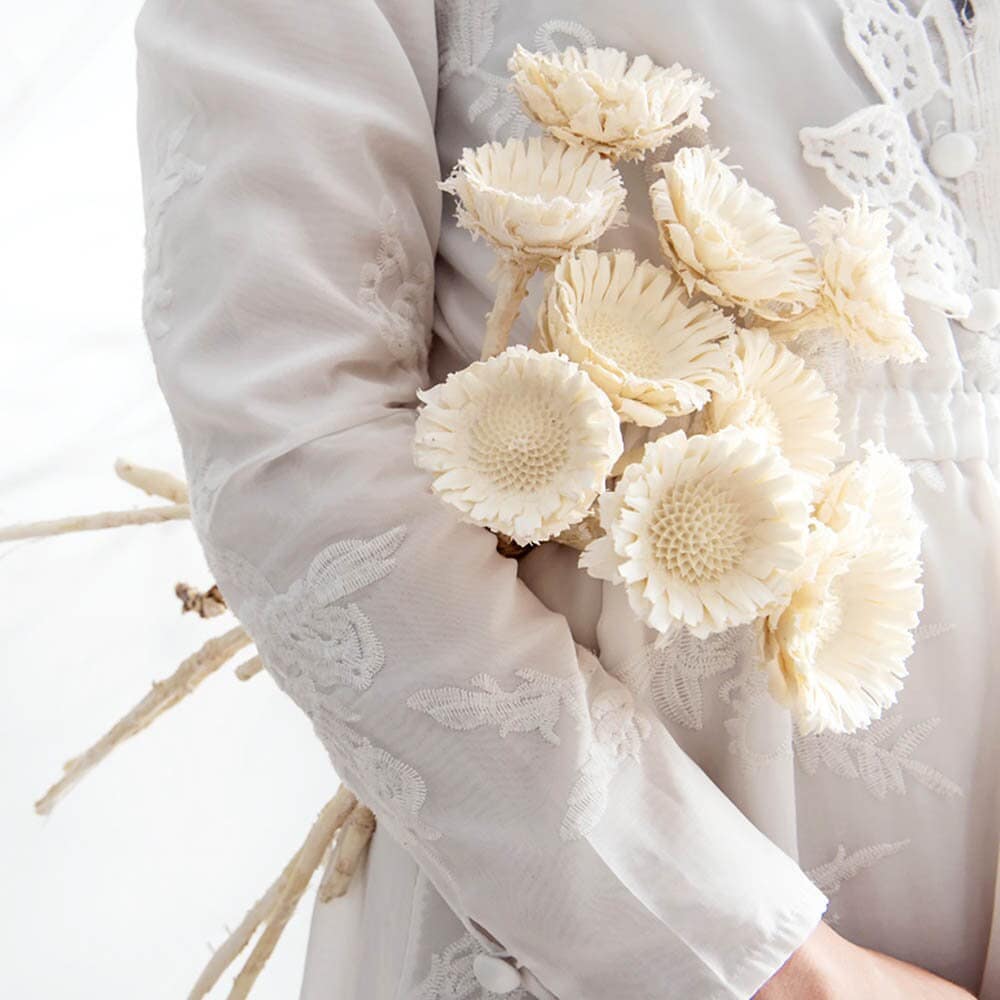 Rosetta di protea bianca da 2/5 steli, rami di protea essiccati, composizione di fiori essiccati, fiori per vaso, decorazioni floreali per matrimoni,