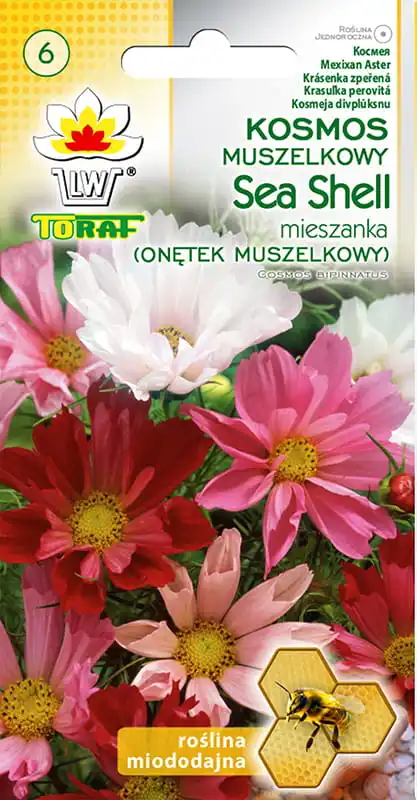 Sea Shell Mares Blumensamen für Haus- und Gartenterrasblumen Image