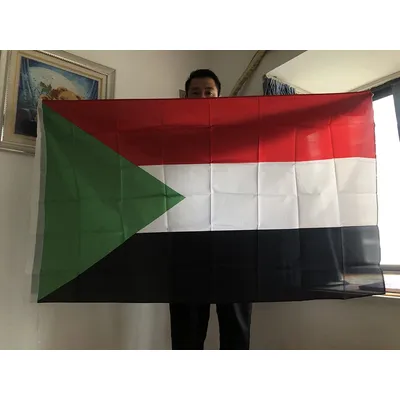 SKY FLAG Sudan flag 150x90cm double side printed polyester hanging Sudan National flag Sultan banner for decoration