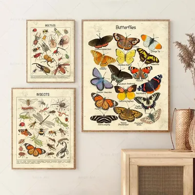 Vintage Adolphe Millot Encyclopedia Posters Butterfly Beetle Insects Wall Art Canvas Painting Nordic