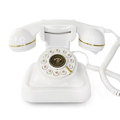 Recording, Audio, Wedding Message Book, Telephone, Guest Message Book, Banquet, Party Blessings,