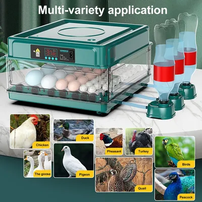 9/15/30/48 Eggs Incubator With Drawer Type Mini Egg Incubator With Automatic Water Ionic