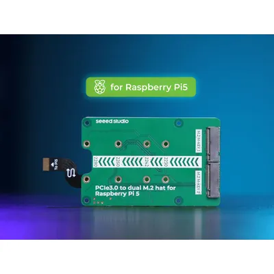 PCIe3.0 Switch to dual M.2 hat for Raspberry Pi 5, Support NVMe SSD, Support Hailo8/8L