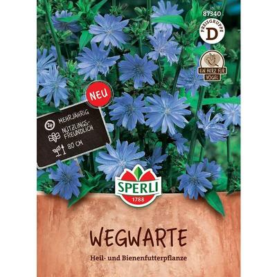 Wegwarte blau - Blumensamen - Sperli Image