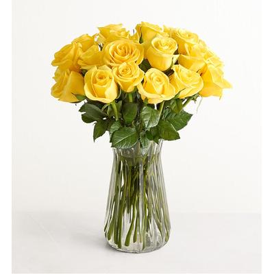 1-800-Flowers Flower Delivery Yellow Roses 24 Stems W/ Clear Vase