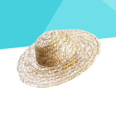 Haustier Sombrero Strohhut verstellbar Hawaii Garten Sonnen eimer für kleine Hunde Welpen Katzen Image