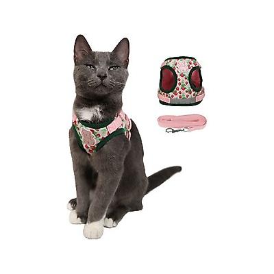 Travel Cat Strawberry Shortcake x Travel Cat Harness & Leash Set, Large