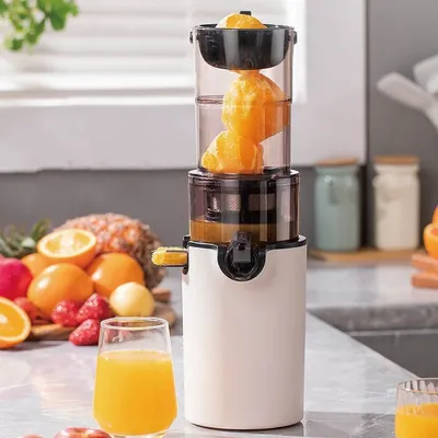 Automatic Large Caliber Juicer Low-speed Juicer Multifunctional Fruit Vegetable Screw Slow Juicer