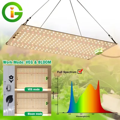 Full Spectrum LED Grow Light LM281B Diode LED Sunlike Quantum Grow Lamp For Greenhouse Hydroponic