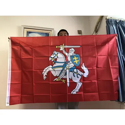 SKY FLAG 3X5Fts Flag of Lithuania flag (state) Polyester Banner Ensign banner 90X150cm Lithuania Lithuanian Ensign Flag