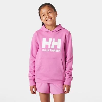 Helly Hansen Kinder Hoodie HH Logo 2.0 176/16 Image