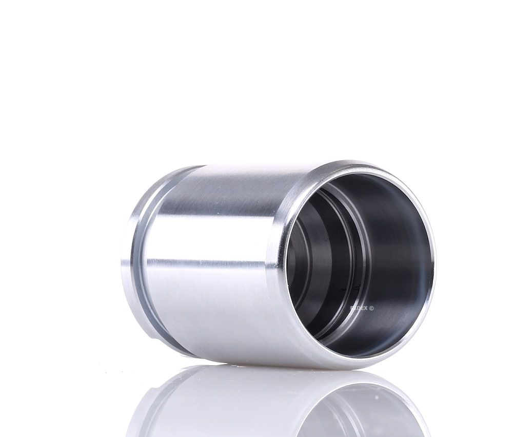 RIDEX Kolben, Bremssattel VW,MERCEDES-BENZ,OPEL 2248P0016 4154201483,1H0615424,43013SEAE01 7701209723,4773014190,6G912D049GD,6G912D049GE,MR955246 Image