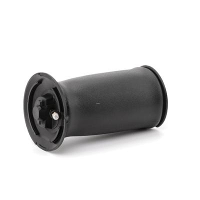 RIDEX Luftfeder, Fahrwerk BMW 4119A0028 37126765602,37126765603,6765602 6765603 Image