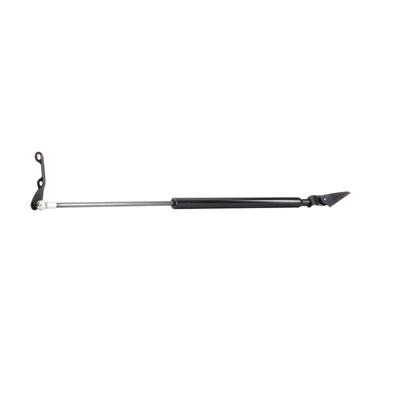 RIDEX Heckklappendämpfer TOYOTA 219G0421 6896059025,6896059026,6895009110 6895009111 Image