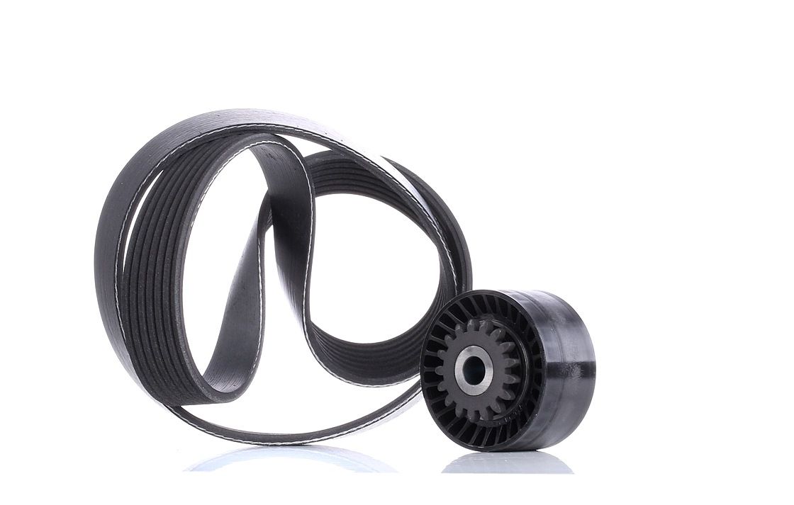 INA Keilrippenriemensatz RENAULT 529 0016 10 117208023R,7701478934,8200322233 8200324532,8200769155,8200830196 Image