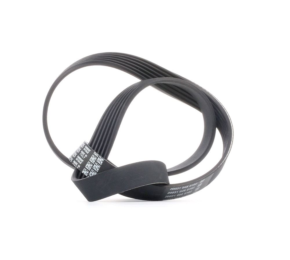 DAYCO Keilrippenriemen VW,MERCEDES-BENZ,OPEL 6PK1125 4421634,95507617,46532636 Rippenriemen 1172000Q5F,6079930496,A6079930096,6x1125,032145933S Image