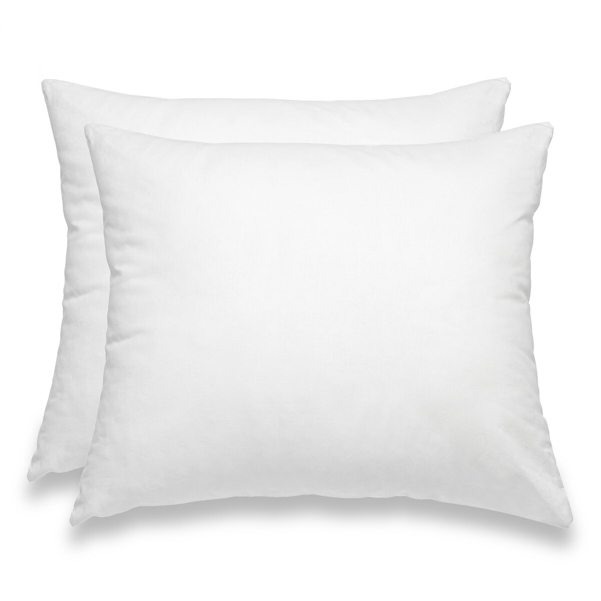 wometo 2 Stück / 2er Set Federkissen 100% Federn 40x50 - 450g OEKO-TEX Kissen / Füllkissen mit Bezug aus 100% Baumwolle weiß / Innenkissen / Kissenfüllung / Image