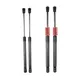1Set di supporti per cofano motore anteriore sollevatore automatico per bagagliaio da 2 pezzi nero per accessori Auto Tesla Model 3