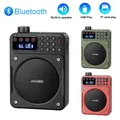 Mini radio FM portatile Batteria ricaricabile rimovibile Radio Ricevitore Soundbar Bluetooth TF