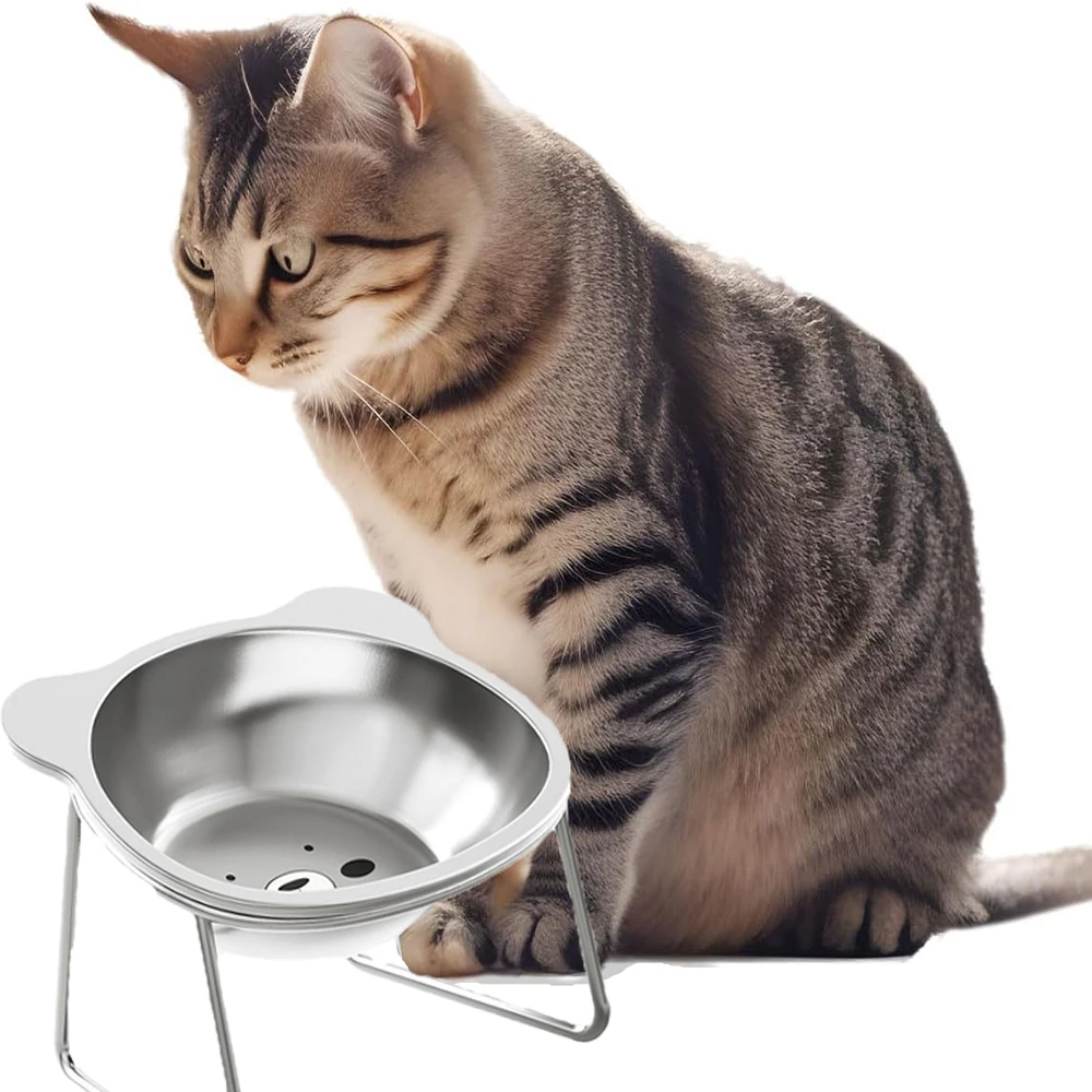 Bol pour chat bols de nourriture pour chat en acier inoxydable avec support en métal plat de nourriture et d'eau pour chats chaton chiots mangeoires fournitures pour chats